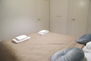 Apartment Snowy Hill A