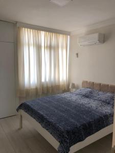 Renovated modern house with culture park view