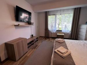 Vila luminoasa cu curte privată