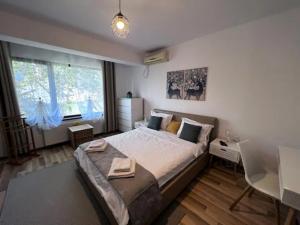 Vila luminoasa cu curte privată