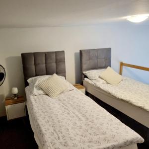 Apartamenty Green Garden z ogrodem i przyjazne dla zwierząt, Racibórz