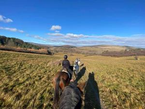 Domek w Ośrodku Jeździeckim Tarpan