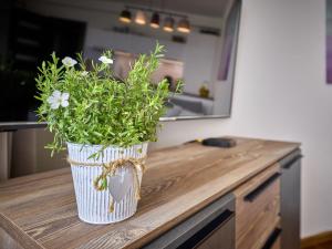 Apartment Horní Mísečky by Interhome