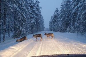 Ferienhaus im schönem historischem Ångermanland