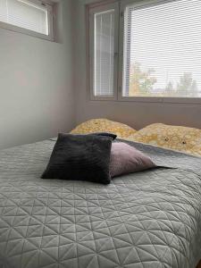 Uusi saunallinen kolmio järvinäkymällä