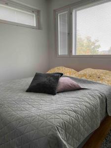 Uusi saunallinen kolmio järvinäkymällä