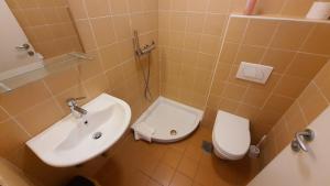 Prenočišča Center Mir In Dobro