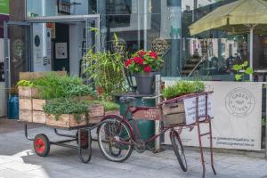 Selskar Court Accommodation