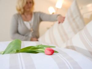 Landhaus Victoria,Seepferdchen