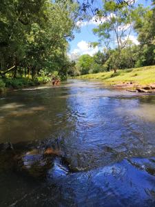 Cabañas Nueva Alborada