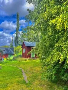 Hedehagens Hemlighet - Mariestad