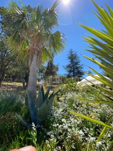 B&B / Chambres d'hotes Villa Alba en Provence : photos des chambres