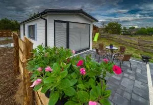 Lawendowy Zakątek 2 - Dywan