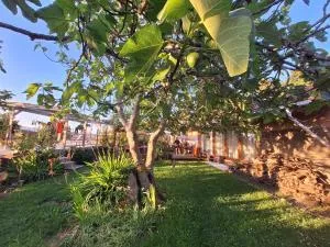 Pilgrims Rest - Vila Nova de Cerveira - Hostel - Albergue - AL - Bagoada