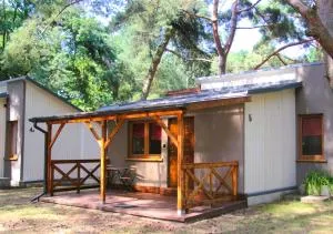 Sosenka Zaniemyśl - 扎涅梅希尔