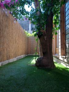 Appartements T2 rdc calme, ensoleille et fleurie : photos des chambres