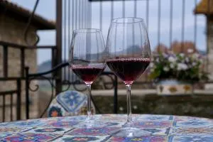 Joy's nest - Cecanibbi