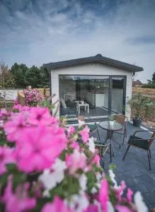 Lawendowy Zakątek 3 - Dywan