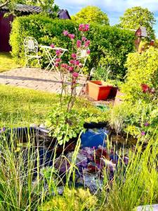 Schlaflodge Wohnwagen in idyllischer Natur