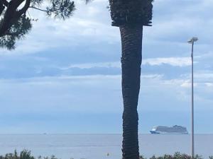 Appartements Cannes Terrace Beach Front & Sea view : photos des chambres