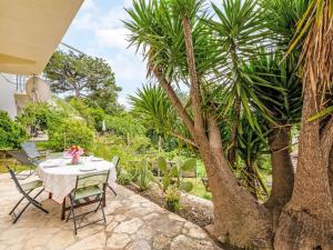 Villages vacances Apartment Au Vieux Yuca by Interhome : photos des chambres