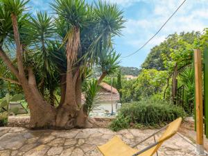 Villages vacances Apartment Au Vieux Yuca by Interhome : photos des chambres