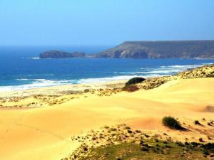 Apartment Dune by Interhome img20