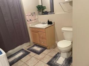 Executive one bedroom apartment including pull out sofa bed