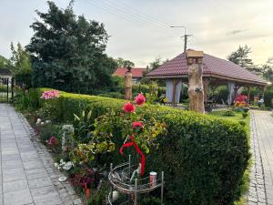 Agroturystyka Bogusław X