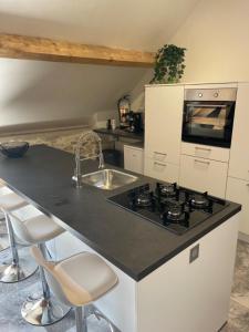 Appartements Le ROSSIGNOL APPARTEMENT MET AIRCO & PRIVE TERRAS : photos des chambres