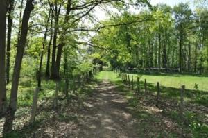 Campings 45mn de Paris - Beau mobilhome pour famille et travail : photos des chambres
