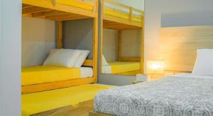 Tropical Stay Accommodations