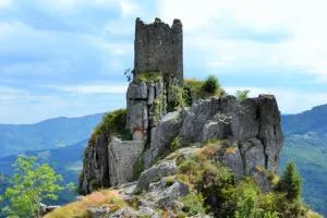 La Salamandre - Saint-Front