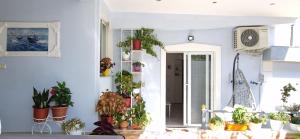 Sala apartment's
