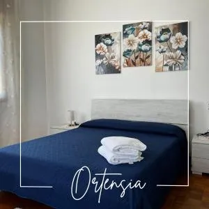 Corte Azzurra unità Ortensia - Campolongo Maggiore