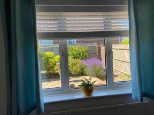 House - Free Parking & Sea Views