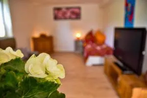 Wohnung mit Wohlfühlcharakter - Gerach