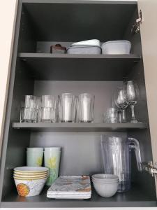 Caribbean Star in Estrella Dominicus