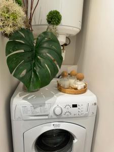 Magnifique appartement