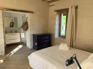 Charmante maison en Touraine, entre champs et châteaux