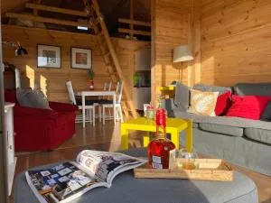 New Forest 2 domek na Kaszubach - Tuszkowy