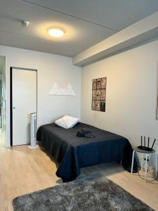 Tilava yksiö hyvällä sijainnilla