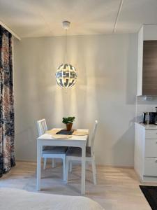 Tilava yksiö hyvällä sijainnilla