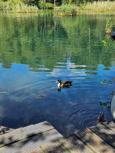 Luxury Lakeside Caravan with hottub and private fishing peg, Tattershall Lakes