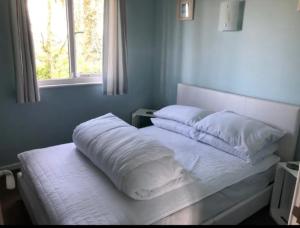 Tolroy Manor - 84 Strawberry Hill