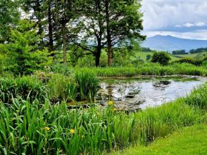 2 Bed in Lower Chapel 94567