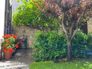 Casa Sandra Appartamento a 100 mt dal mare