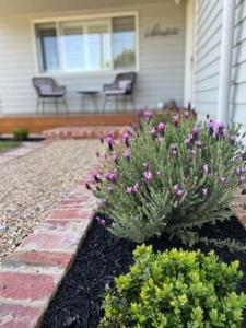 Ailsafield - Home in the heart of Mansfield