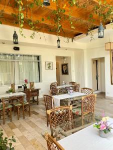 Hotel Mango Verde Bed & Breakfast