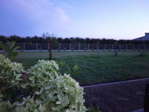 Ostoja Czersk glamping pole namiotowe